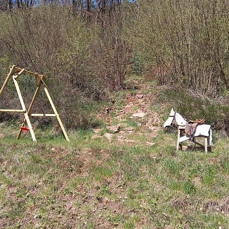 Ferienwohnung Sonnenhang Rudenau المظهر الخارجي الصورة